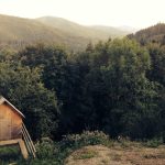 Update Terbaru! Kode Redeem FF Hari Ini 25 April 2026, Buruan Klaim Hadiah Gratis