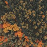 Bikin Heboh Akhir Tahun! 5 Game Mobile Terbaru 2025 yang Wajib Kamu Coba (Online & Offline) – IndoGamers