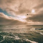 Bikin Heboh Akhir Tahun! 5 Game Mobile Terbaru 2025 yang Wajib Kamu Coba (Online & Offline) – IndoGamers