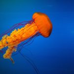 Bikin Heboh Akhir Tahun! 5 Game Mobile Terbaru 2025 yang Wajib Kamu Coba (Online & Offline) – IndoGamers