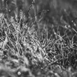 Bikin Heboh Akhir Tahun! 5 Game Mobile Terbaru 2025 yang Wajib Kamu Coba (Online & Offline) – IndoGamers