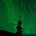 Bikin Heboh Akhir Tahun! 5 Game Mobile Terbaru 2025 yang Wajib Kamu Coba (Online & Offline) – IndoGamers