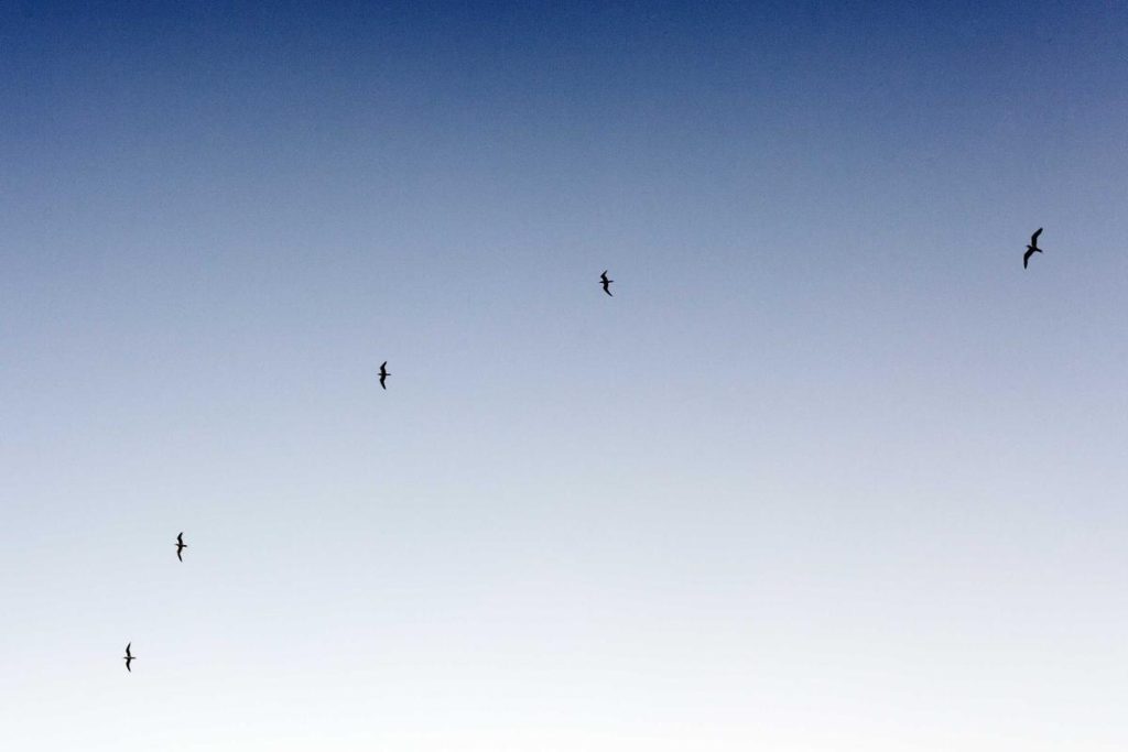 Bikin Heboh Akhir Tahun! 5 Game Mobile Terbaru 2025 yang Wajib Kamu Coba (Online & Offline) – IndoGamers