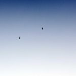 Bikin Heboh Akhir Tahun! 5 Game Mobile Terbaru 2025 yang Wajib Kamu Coba (Online & Offline) – IndoGamers