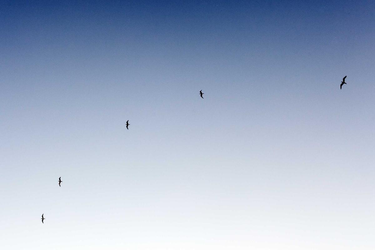 Bikin Heboh Akhir Tahun! 5 Game Mobile Terbaru 2025 yang Wajib Kamu Coba (Online & Offline) – IndoGamers