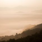 Bikin Heboh Akhir Tahun! 5 Game Mobile Terbaru 2025 yang Wajib Kamu Coba (Online & Offline) – IndoGamers