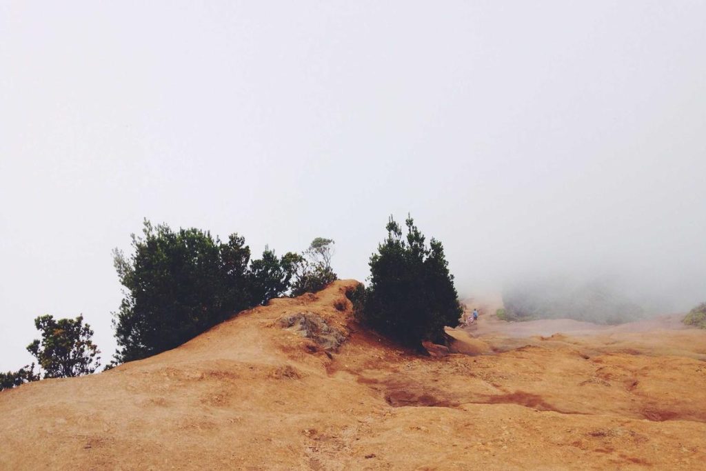 Bikin Heboh Akhir Tahun! 5 Game Mobile Terbaru 2025 yang Wajib Kamu Coba (Online & Offline) – IndoGamers