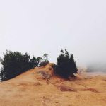 Bikin Heboh Akhir Tahun! 5 Game Mobile Terbaru 2025 yang Wajib Kamu Coba (Online & Offline) – IndoGamers