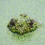 Bikin Heboh Akhir Tahun! 5 Game Mobile Terbaru 2025 yang Wajib Kamu Coba (Online & Offline) – IndoGamers