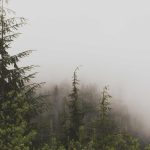 Game Online Terpopuler Tahun 2025 dan Tren yang Mendominasi – https://rakyatcirebon.disway.id/