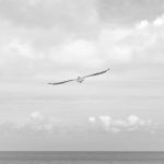 Bikin Heboh Akhir Tahun! 5 Game Mobile Terbaru 2025 yang Wajib Kamu Coba (Online & Offline) – IndoGamers