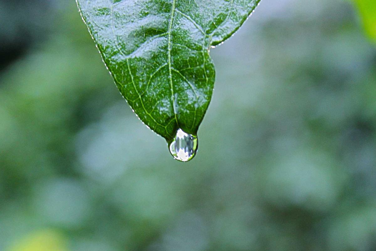 5 Simulator Game Android Offline & Online Terbaru 2025 yang Wajib Kamu Coba! – IndoGamers