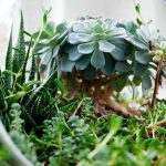 Bikin Heboh Akhir Tahun! 5 Game Mobile Terbaru 2025 yang Wajib Kamu Coba (Online & Offline) – IndoGamers