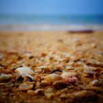 Bikin Heboh Akhir Tahun! 5 Game Mobile Terbaru 2025 yang Wajib Kamu Coba (Online & Offline) – IndoGamers