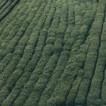 Bikin Heboh Akhir Tahun! 5 Game Mobile Terbaru 2025 yang Wajib Kamu Coba (Online & Offline) – IndoGamers