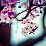 Bikin Heboh Akhir Tahun! 5 Game Mobile Terbaru 2025 yang Wajib Kamu Coba (Online & Offline) – IndoGamers