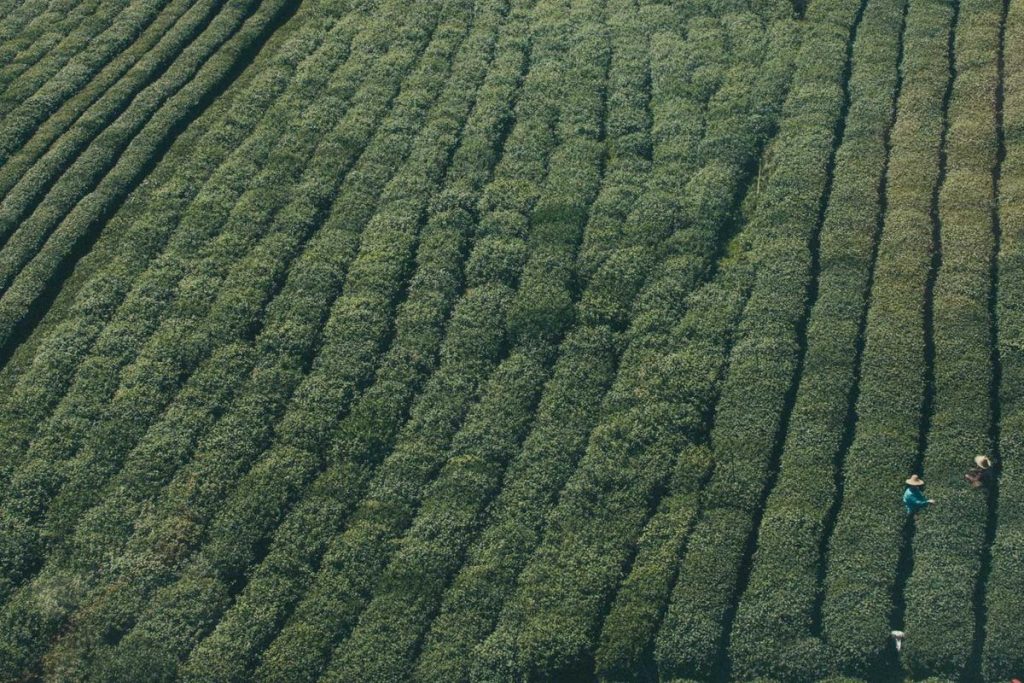 Bikin Heboh Akhir Tahun! 5 Game Mobile Terbaru 2025 yang Wajib Kamu Coba (Online & Offline) – IndoGamers