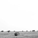 Bikin Heboh Akhir Tahun! 5 Game Mobile Terbaru 2025 yang Wajib Kamu Coba (Online & Offline) – IndoGamers