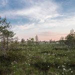 Bikin Heboh Akhir Tahun! 5 Game Mobile Terbaru 2025 yang Wajib Kamu Coba (Online & Offline) – IndoGamers